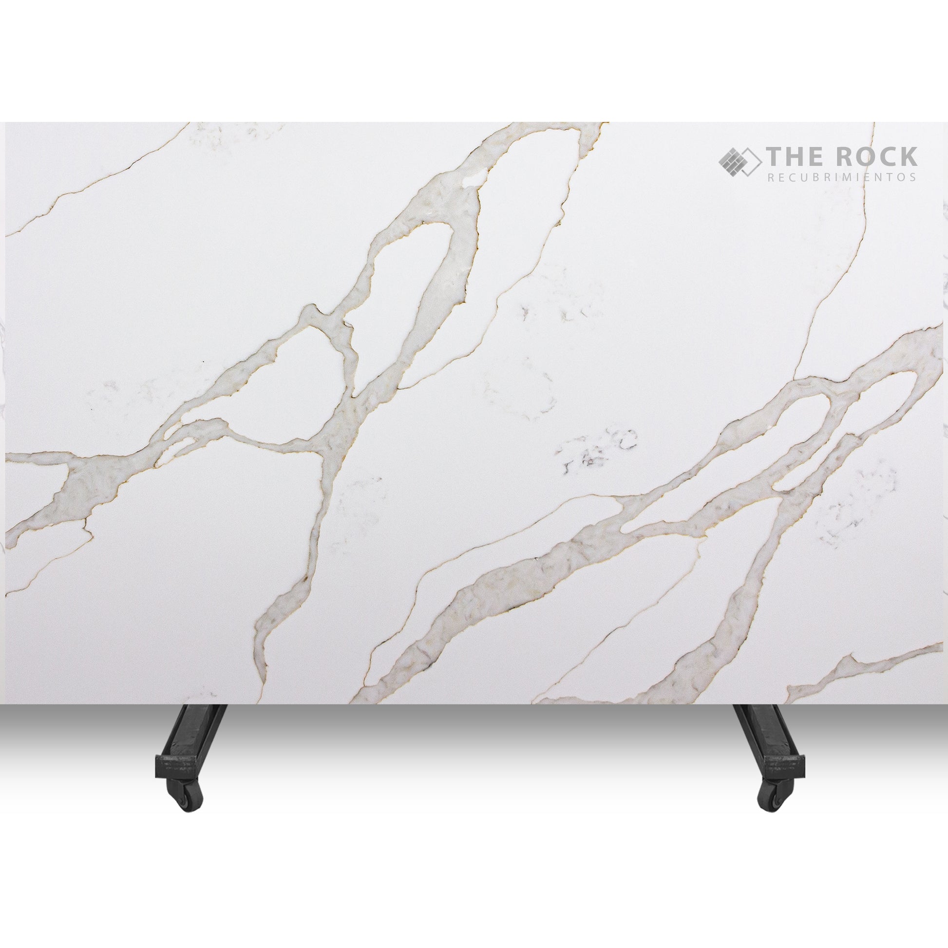 revestimiento de pared calacatta veracruz closeup